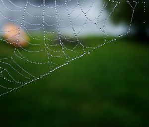 Preview wallpaper cobweb, drops, macro, water, blur