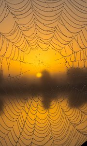 Preview wallpaper cobweb, drops, macro, wet, blur