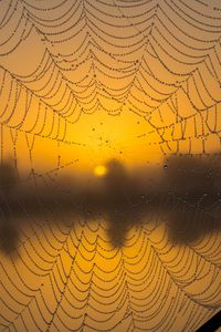 Preview wallpaper cobweb, drops, macro, wet, blur