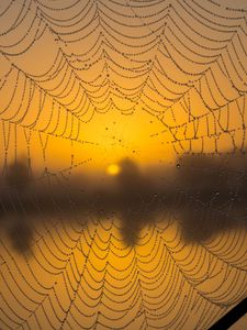 Preview wallpaper cobweb, drops, macro, wet, blur