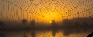 Preview wallpaper cobweb, drops, macro, wet, blur