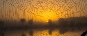 Preview wallpaper cobweb, drops, macro, wet, blur