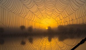 Preview wallpaper cobweb, drops, macro, wet, blur