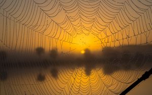 Preview wallpaper cobweb, drops, macro, wet, blur