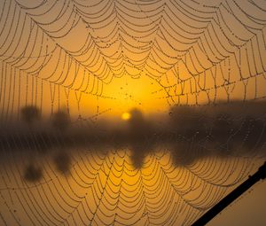 Preview wallpaper cobweb, drops, macro, wet, blur