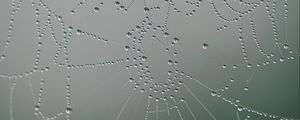 Preview wallpaper cobweb, drops, macro, grey