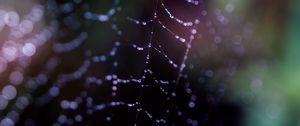 Preview wallpaper cobweb, drops, macro, dark