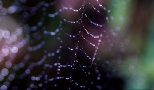 Preview wallpaper cobweb, drops, macro, dark