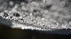 Preview wallpaper cobweb, drops, water, macro, blur, black and white