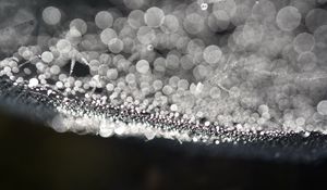 Preview wallpaper cobweb, drops, water, macro, blur, black and white