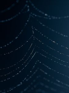 Preview wallpaper cobweb, drops, wet, macro