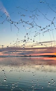 Preview wallpaper cobweb, drops, wet, macro, blur