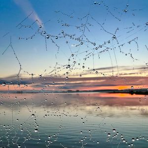 Preview wallpaper cobweb, drops, wet, macro, blur