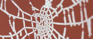 Preview wallpaper cobweb, frost, macro