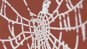 Preview wallpaper cobweb, frost, macro