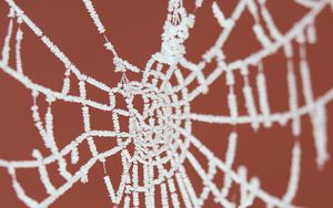 Preview wallpaper cobweb, frost, macro