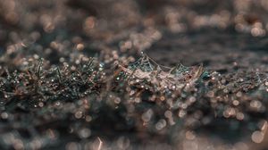 Preview wallpaper cobweb, grass, macro, dew, drops