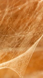 Preview wallpaper cobweb, light, blur, macro