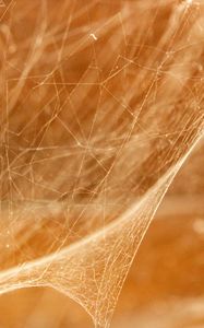 Preview wallpaper cobweb, light, blur, macro