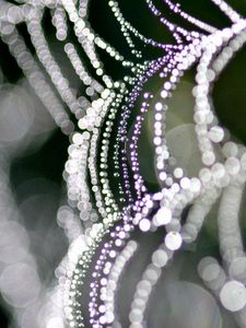 Preview wallpaper cobweb, light, shape, drops