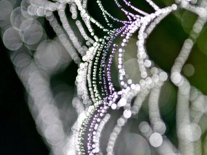 Preview wallpaper cobweb, light, shape, drops