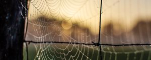 Preview wallpaper cobweb, macro, blur, wire