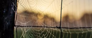 Preview wallpaper cobweb, macro, blur, wire