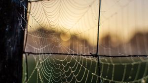 Preview wallpaper cobweb, macro, blur, wire