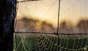 Preview wallpaper cobweb, macro, blur, wire