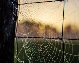 Preview wallpaper cobweb, macro, blur, wire