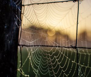 Preview wallpaper cobweb, macro, blur, wire