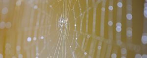 Preview wallpaper cobweb, macro, light, drops, blur