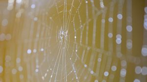 Preview wallpaper cobweb, macro, light, drops, blur