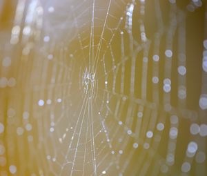 Preview wallpaper cobweb, macro, light, drops, blur