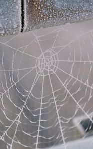 Preview wallpaper cobweb, snow, blur, macro