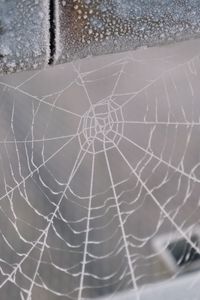 Preview wallpaper cobweb, snow, blur, macro