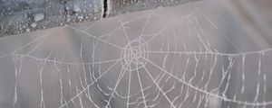 Preview wallpaper cobweb, snow, blur, macro