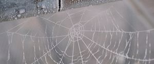 Preview wallpaper cobweb, snow, blur, macro