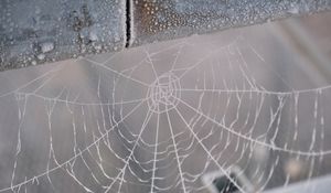 Preview wallpaper cobweb, snow, blur, macro