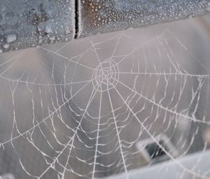 Preview wallpaper cobweb, snow, blur, macro