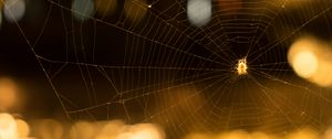 Preview wallpaper cobweb, spider, macro, blur