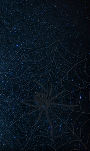 Preview wallpaper cobweb, spider, starry sky, shine