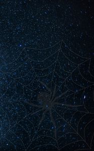 Preview wallpaper cobweb, spider, starry sky, shine