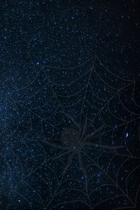 Preview wallpaper cobweb, spider, starry sky, shine