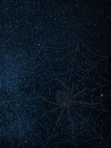 Preview wallpaper cobweb, spider, starry sky, shine