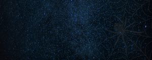 Preview wallpaper cobweb, spider, starry sky, shine