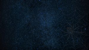 Preview wallpaper cobweb, spider, starry sky, shine