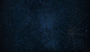 Preview wallpaper cobweb, spider, starry sky, shine