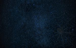 Preview wallpaper cobweb, spider, starry sky, shine