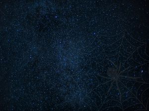 Preview wallpaper cobweb, spider, starry sky, shine